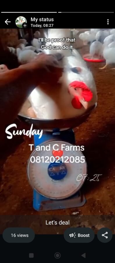 T and C Farms