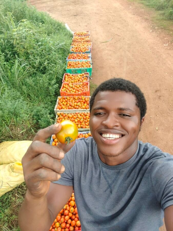 Helios Crest farm ltd