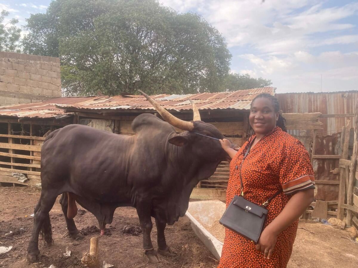 Asanwasfoods and livestock