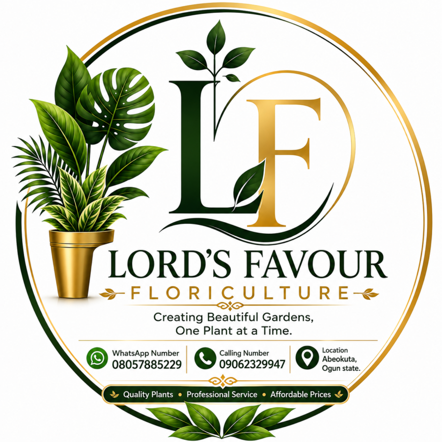 Lord’s Favour Floriculture.
