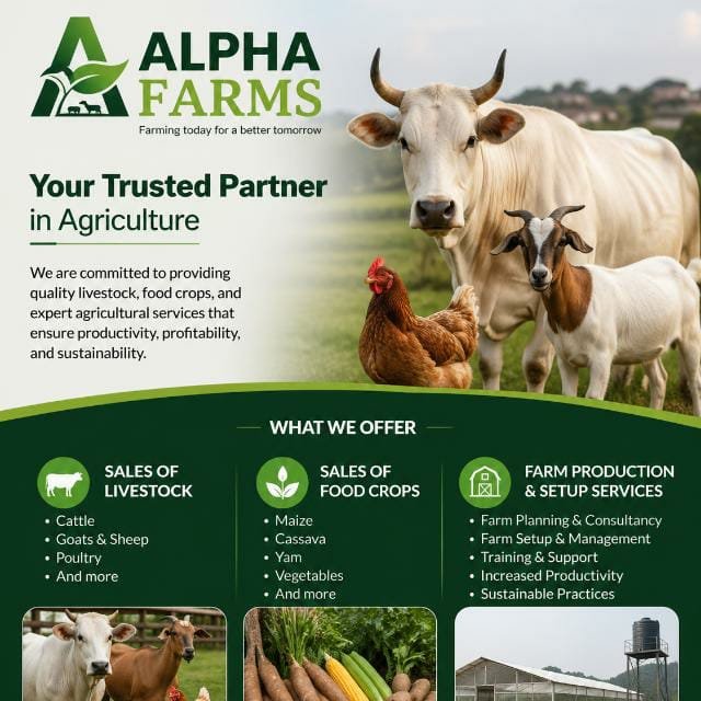 Alpha Group