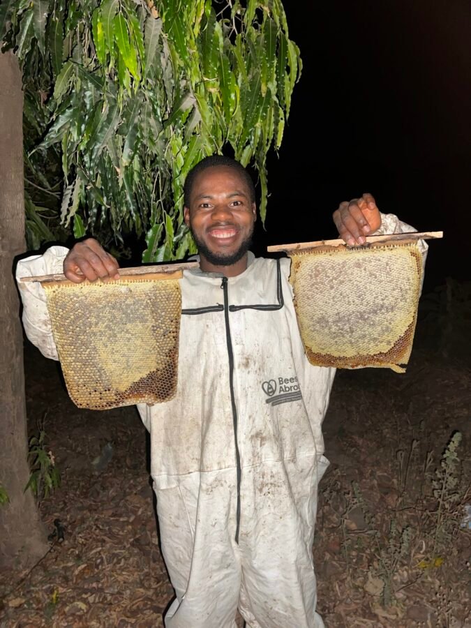 Rekobees