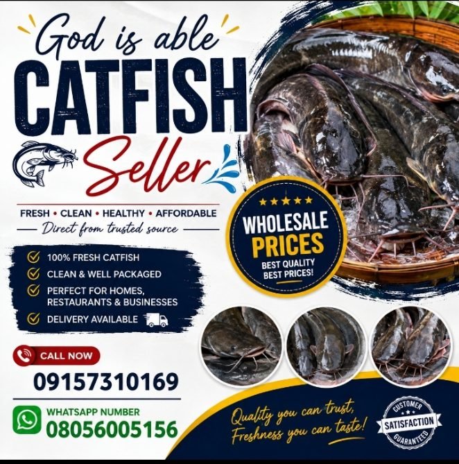 God is able catfish seller