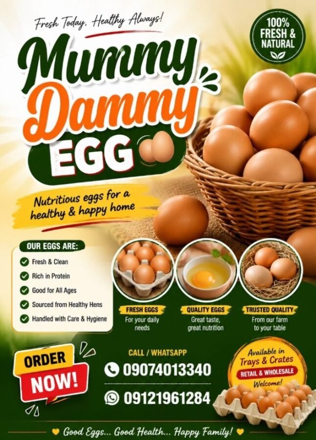 Mummy Dammy's egg depot