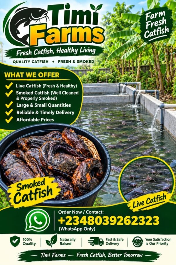 Timi Farms