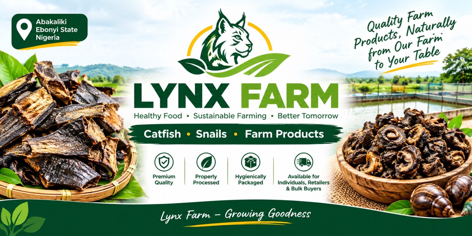 LYNX AQUA GLOBAL LIMITED