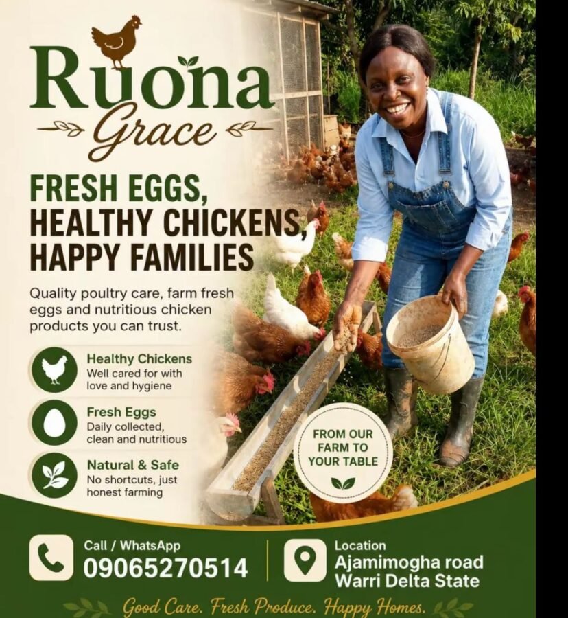 Ruona Grace chicken and eggs