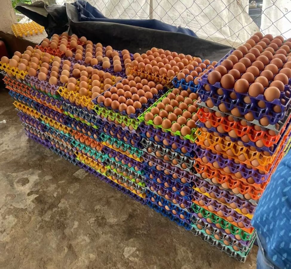LS FARM MART