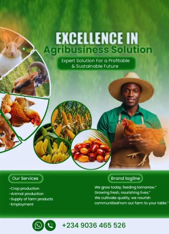 Excellence in Agribusiness solution