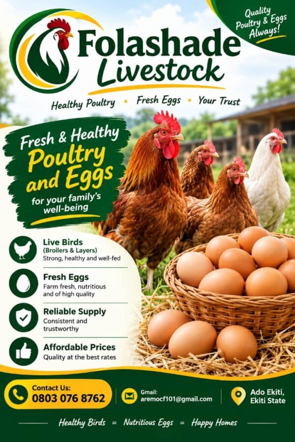 Folashade livestock