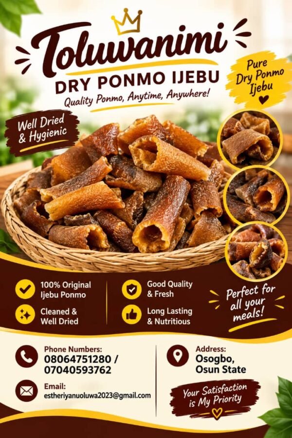 Toluwanimi dried ponmo ijebu